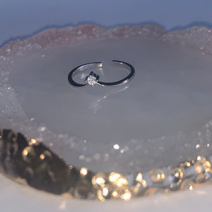 Vienna Ring