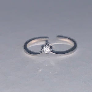 Vienna Ring